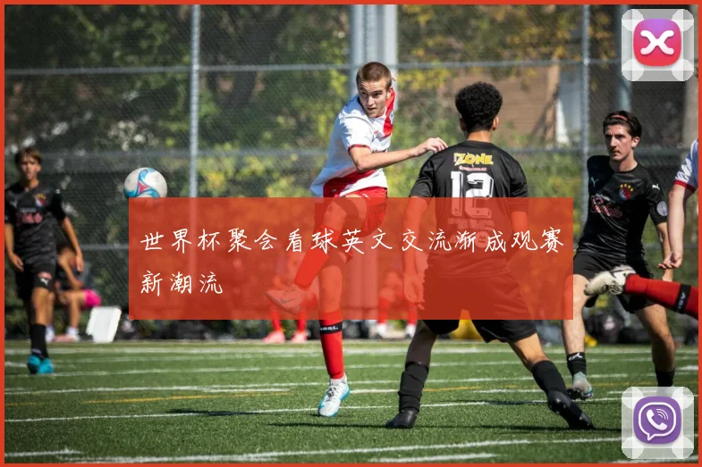 世界杯聚会看球英文交流渐成观赛新潮流